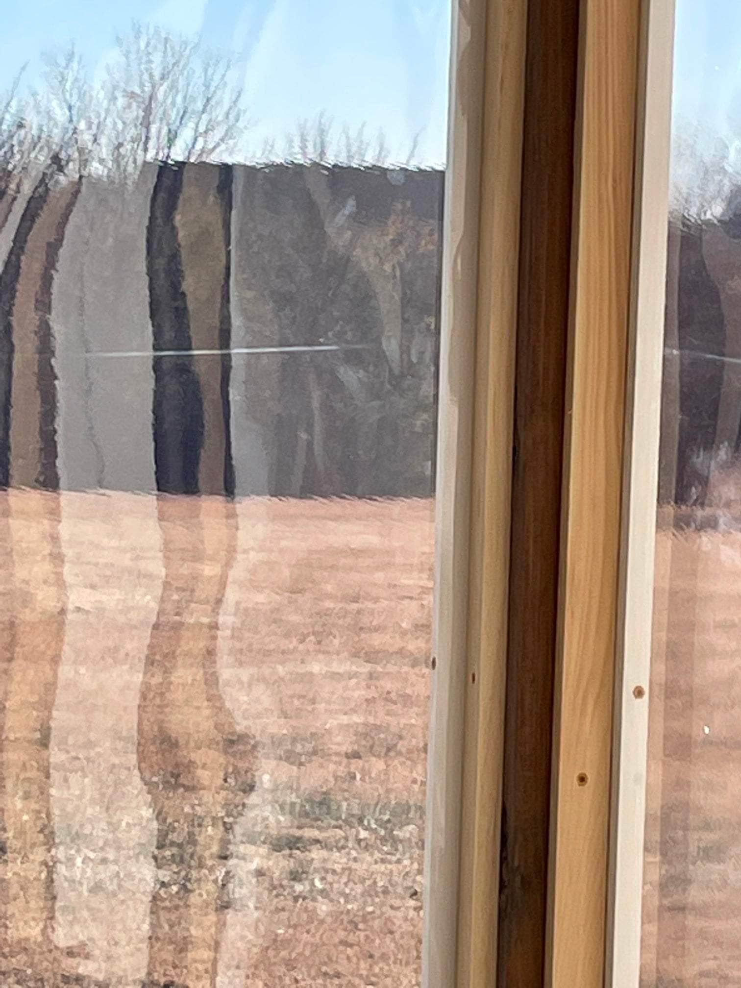 Blemished Clear Vinyl