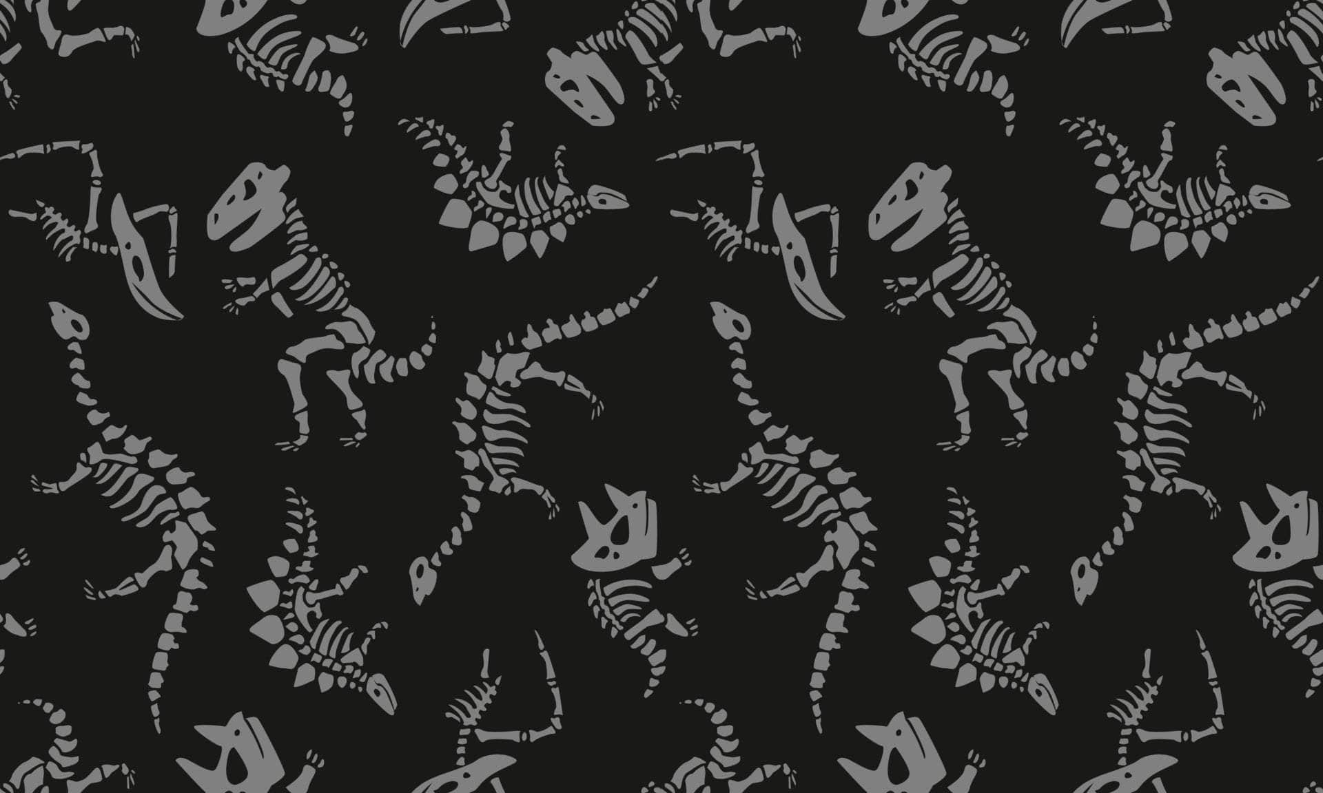 Fossils Vinyl