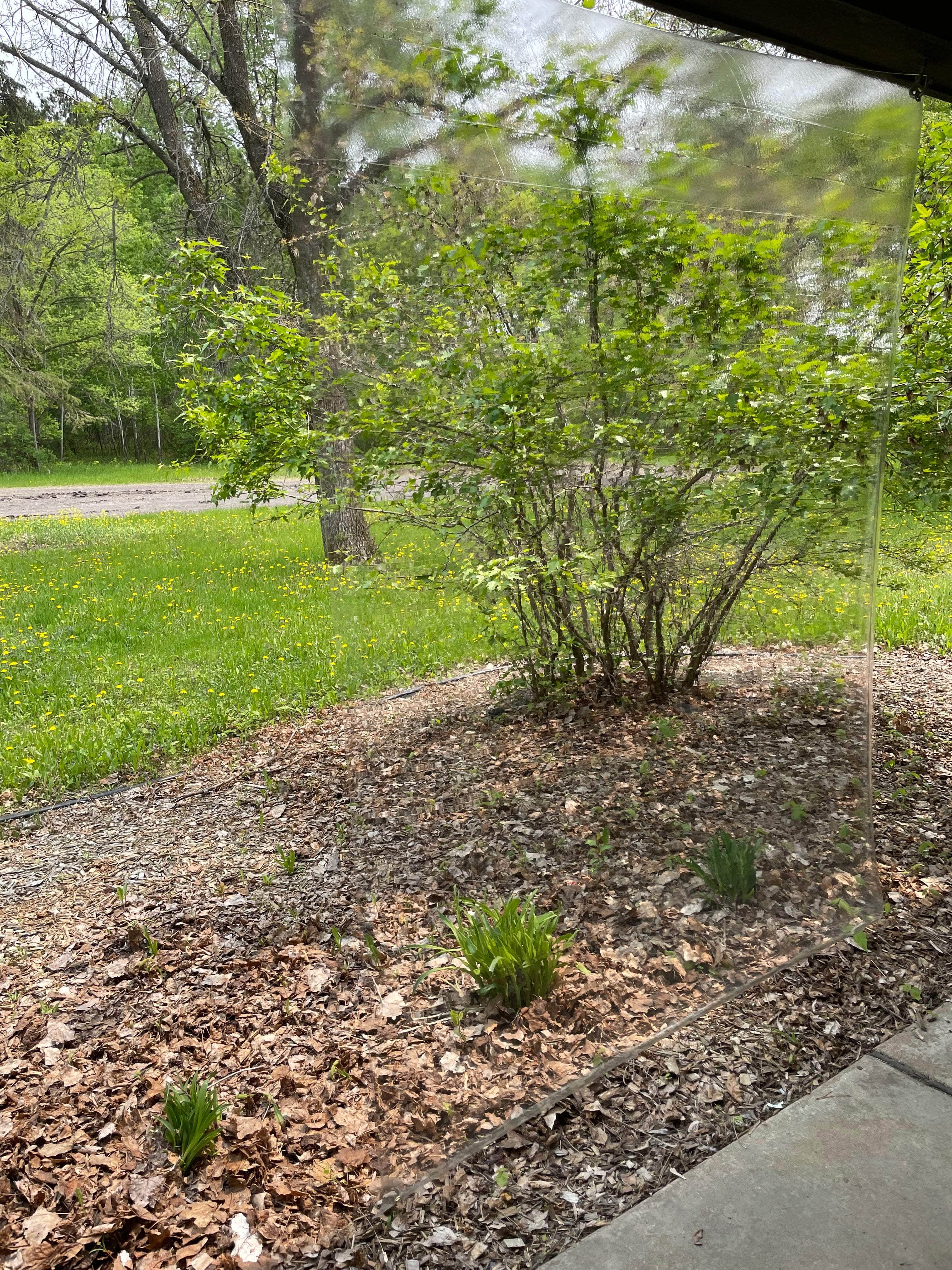 Blemished Clear Vinyl