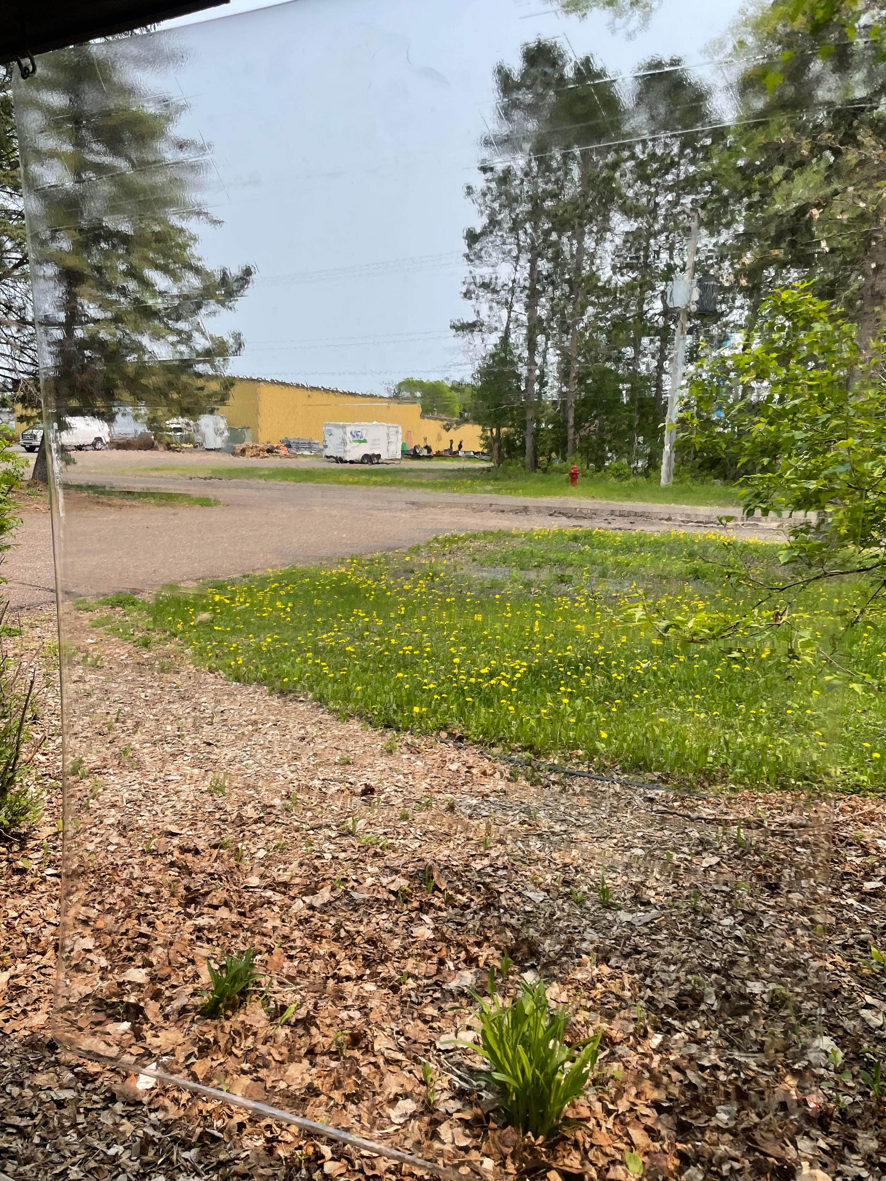 Blemished Clear Vinyl