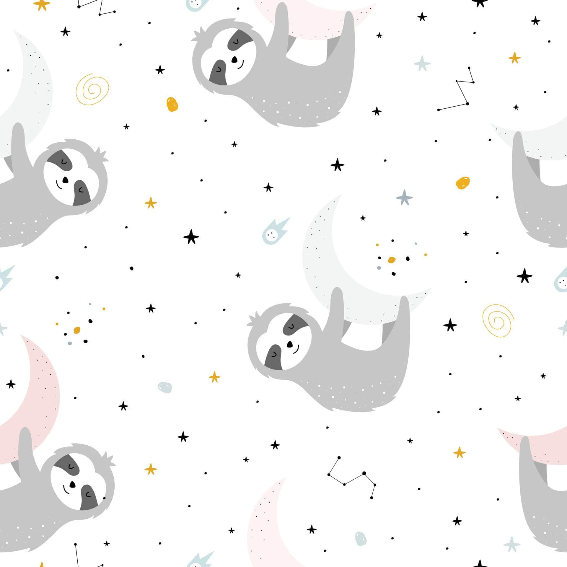 Sloth Moon Vinyl