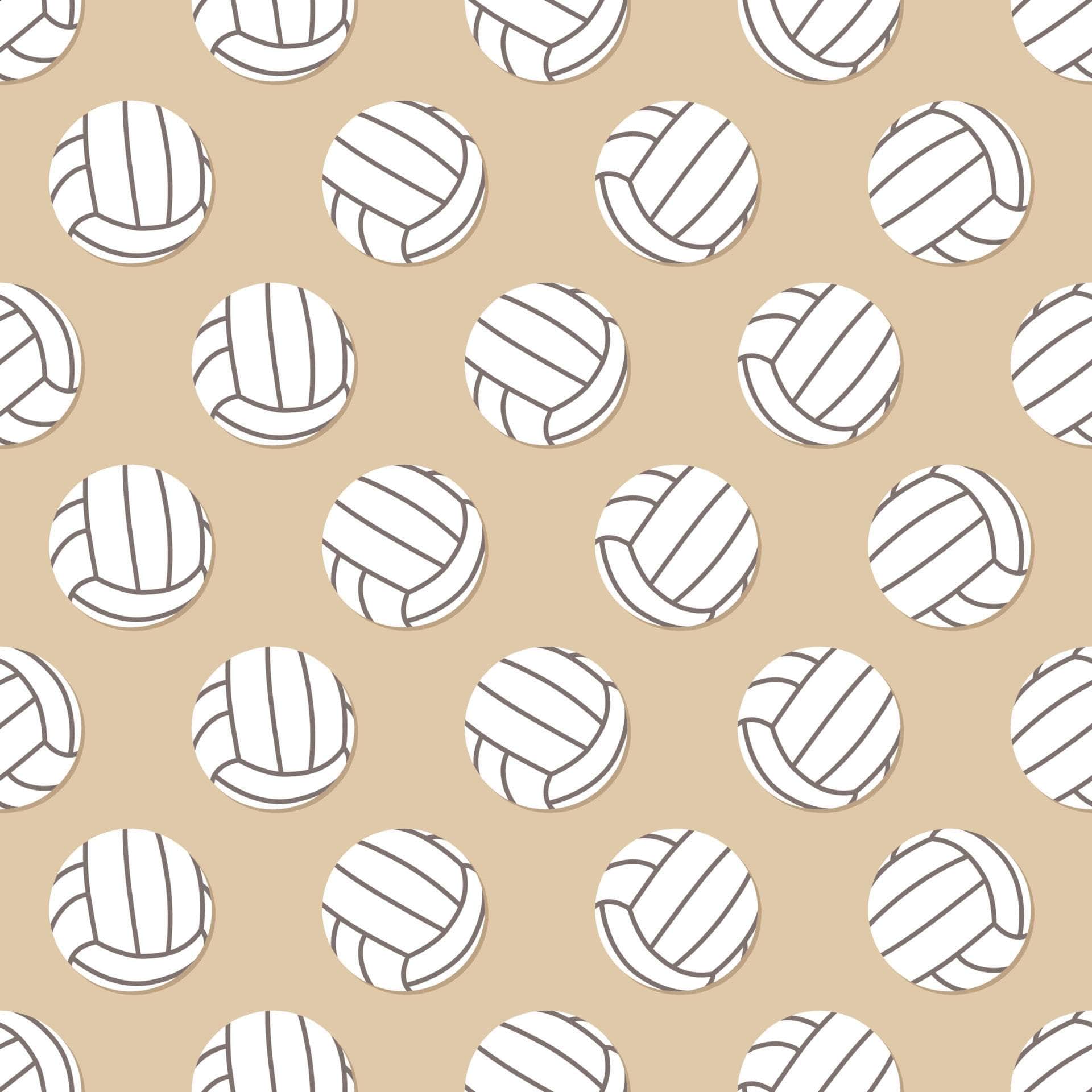 Volleyball Vinyl