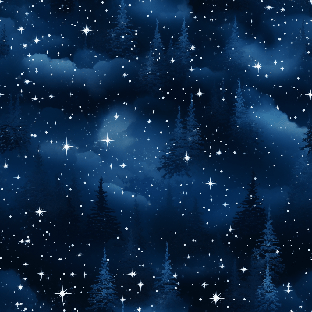 Winter Starry Night Vinyl