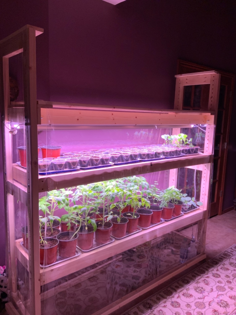 DIY Indoor Greenhouse: Tips and Ideas