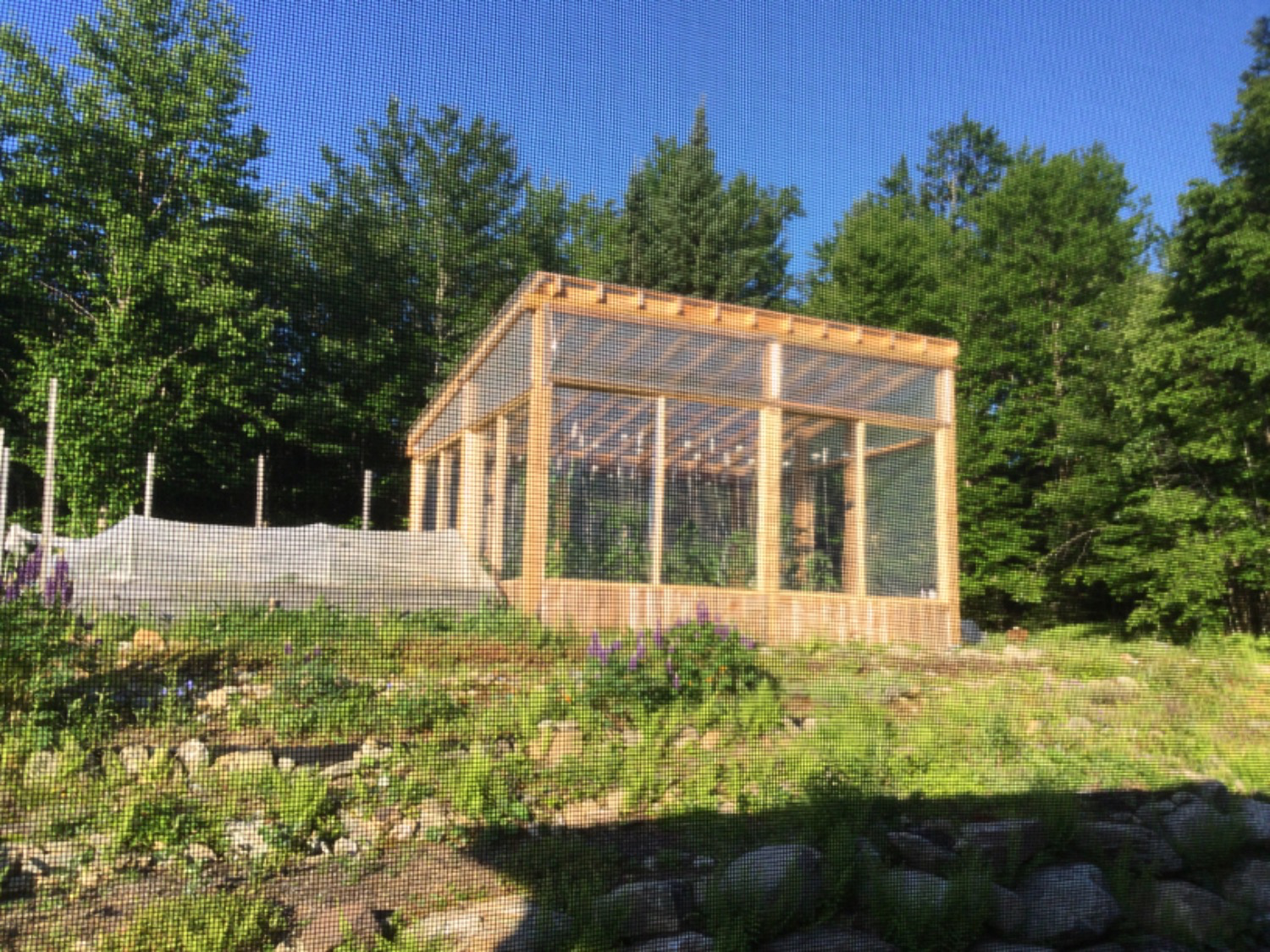 How to Build a DIY Greenhouse on a Budget