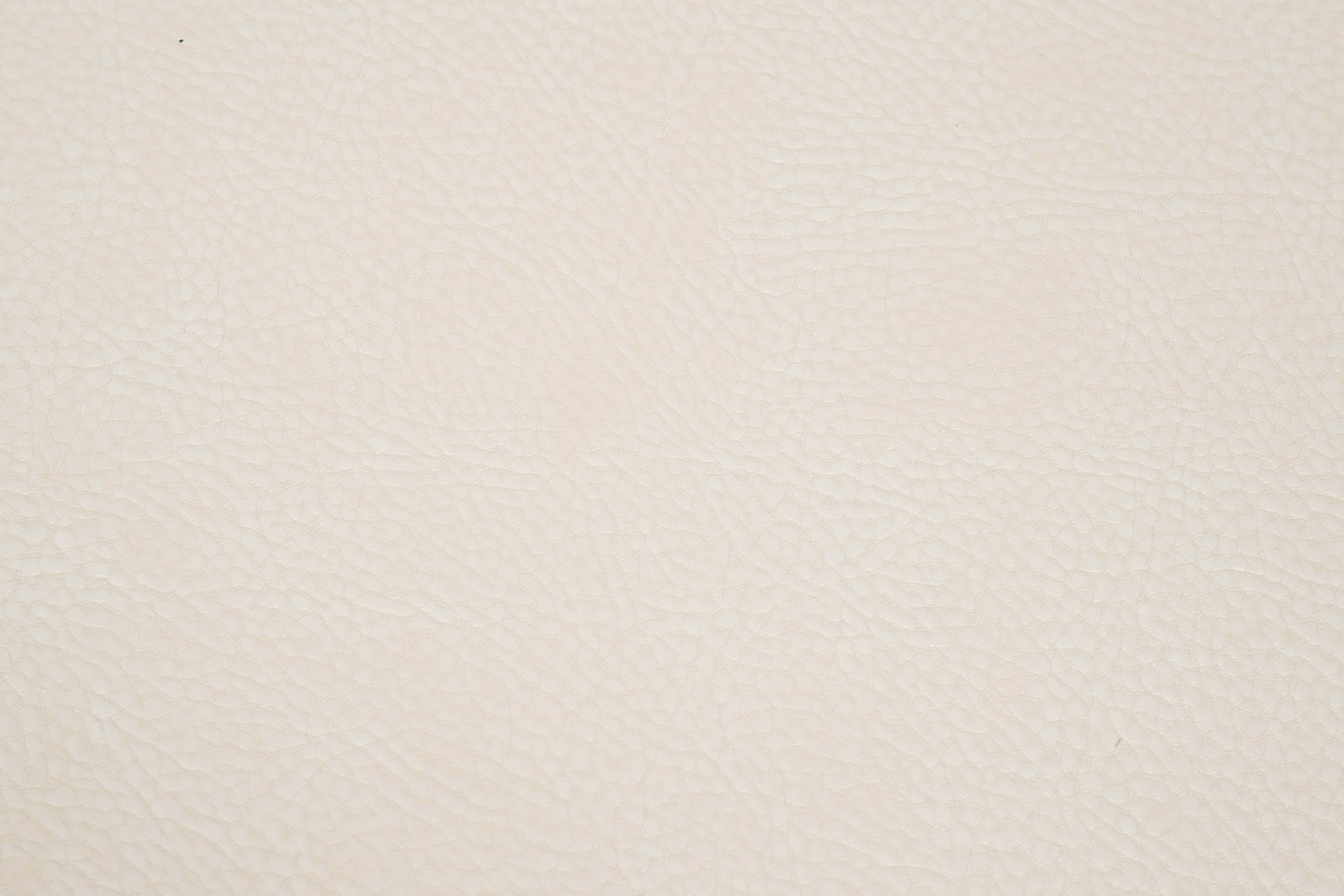 By The Linear Yard / Armadillo White