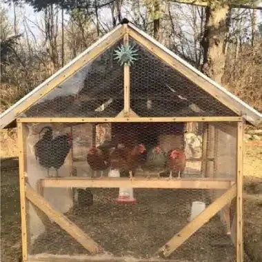 Chicken Coop