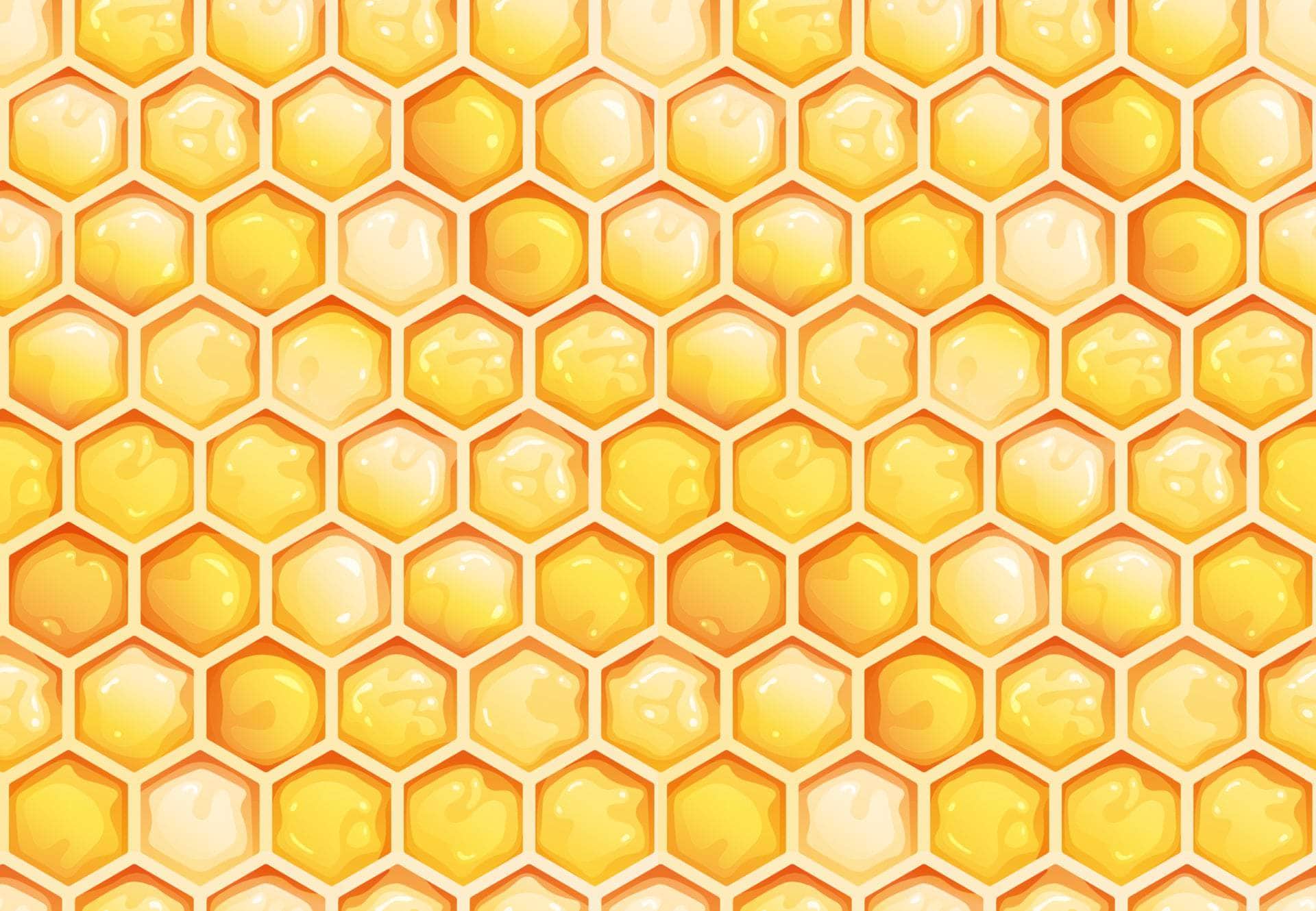 Sweet Honeycomb Vinyl
