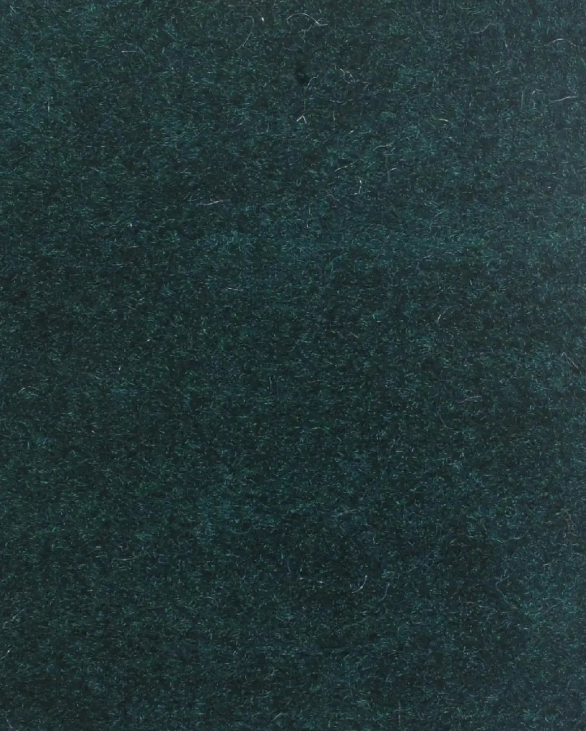 Ivy Boat Carpet